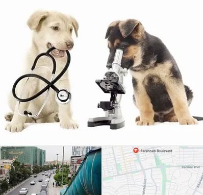 آزمایشگاه دامپزشکی در بلوار فرحزادی