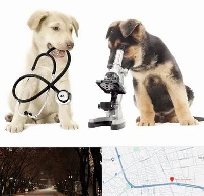 آزمایشگاه دامپزشکی در ابوریحان تبریز