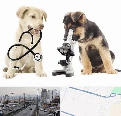 آزمایشگاه دامپزشکی در بلوار ارتش