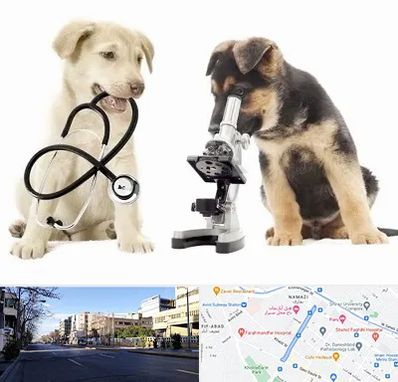 آزمایشگاه دامپزشکی در خیابان ملاصدرا شیراز