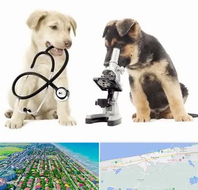 آزمایشگاه دامپزشکی در فریدونکنار