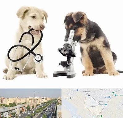 آزمایشگاه دامپزشکی در کیانمهر کرج
