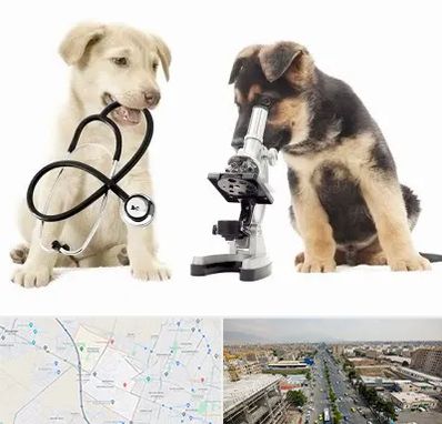 آزمایشگاه دامپزشکی در حصارک کرج