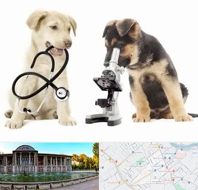 آزمایشگاه دامپزشکی در عفیف آباد شیراز