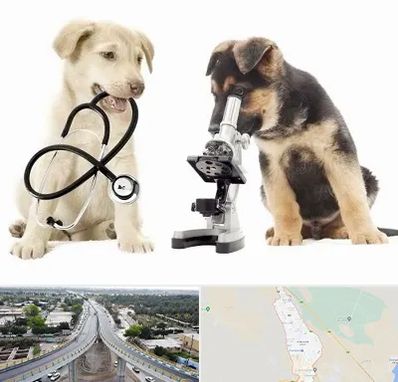 آزمایشگاه دامپزشکی در اندیمشک