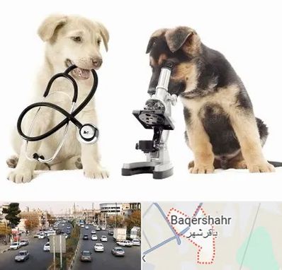 آزمایشگاه دامپزشکی در باقرشهر