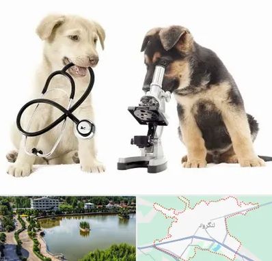 آزمایشگاه دامپزشکی در لنگرود