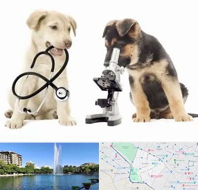 آزمایشگاه دامپزشکی در کوهسنگی مشهد