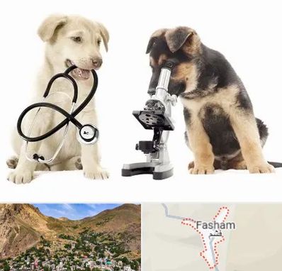 آزمایشگاه دامپزشکی در فشم