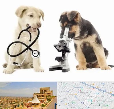 آزمایشگاه دامپزشکی در هاشمیه مشهد