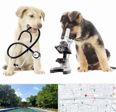 آزمایشگاه دامپزشکی در هشت بهشت اصفهان