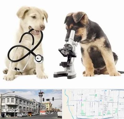 آزمایشگاه دامپزشکی در 17شهریور