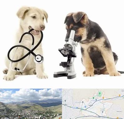 آزمایشگاه دامپزشکی در رودهن