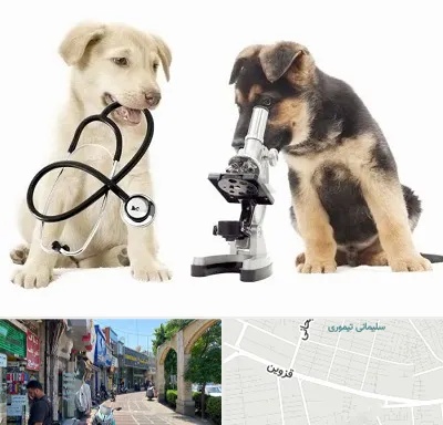 آزمایشگاه دامپزشکی در خیابان قزوین