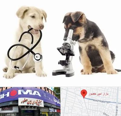 آزمایشگاه دامپزشکی در امین حضور