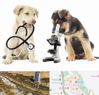 آزمایشگاه دامپزشکی در خیابان نیایش شیراز