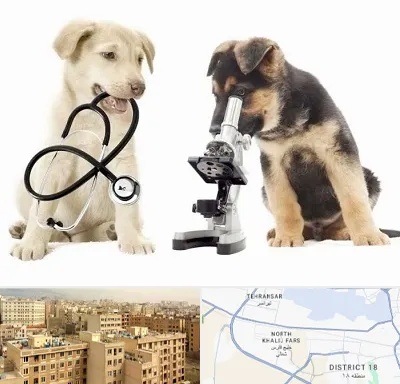 آزمایشگاه دامپزشکی در جنوب غرب تهران