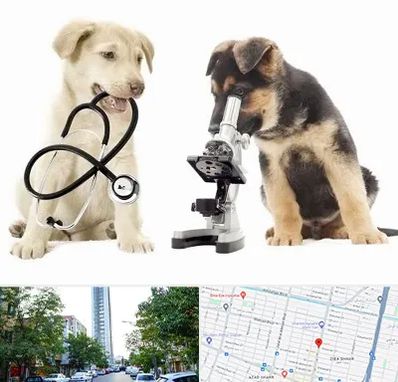 آزمایشگاه دامپزشکی در امامت مشهد