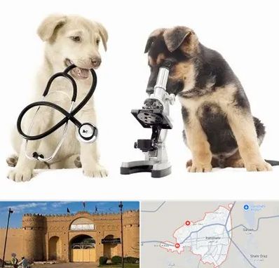 آزمایشگاه دامپزشکی در ایرانشهر