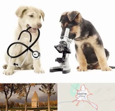 آزمایشگاه دامپزشکی در تویسرکان