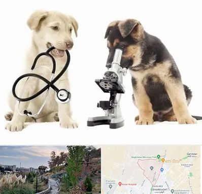 آزمایشگاه دامپزشکی در باغستان کرج