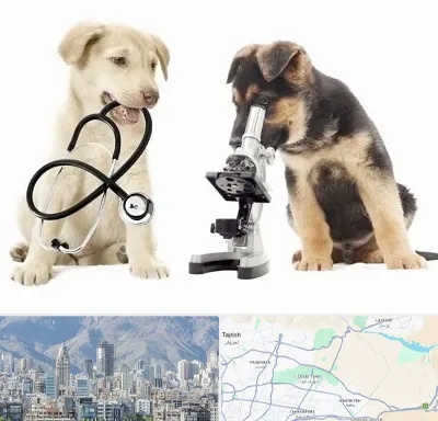 آزمایشگاه دامپزشکی در شمال شرق تهران