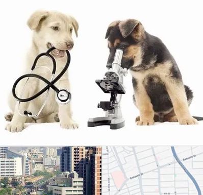 آزمایشگاه دامپزشکی در خیابان بهشتی