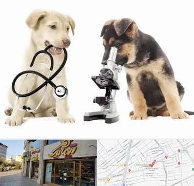 آزمایشگاه دامپزشکی در عطاران قم