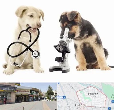 آزمایشگاه دامپزشکی در پرواز تبریز