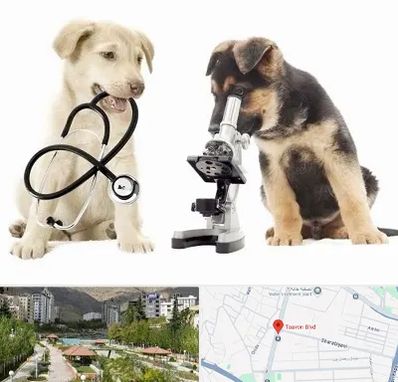 آزمایشگاه دامپزشکی در بلوار تعاون