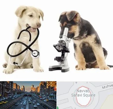 آزمایشگاه دامپزشکی در نواب