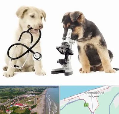 آزمایشگاه دامپزشکی در محمودآباد