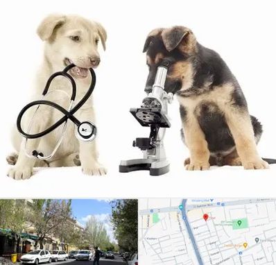 آزمایشگاه دامپزشکی در کوی فیروز تبریز