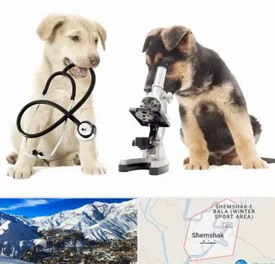 آزمایشگاه دامپزشکی در شمشک