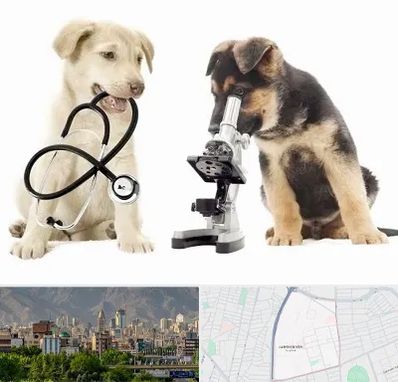 آزمایشگاه دامپزشکی در جمشیدیه