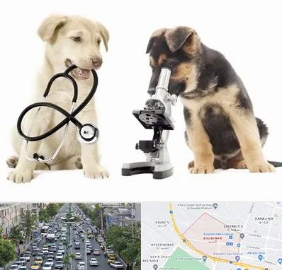 آزمایشگاه دامپزشکی در گلشهر کرج