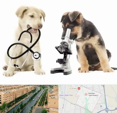 آزمایشگاه دامپزشکی در فاز سه اندیشه