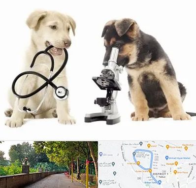 آزمایشگاه دامپزشکی در بلوار گیلان رشت