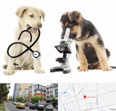 آزمایشگاه دامپزشکی در هفده شهریور تبریز