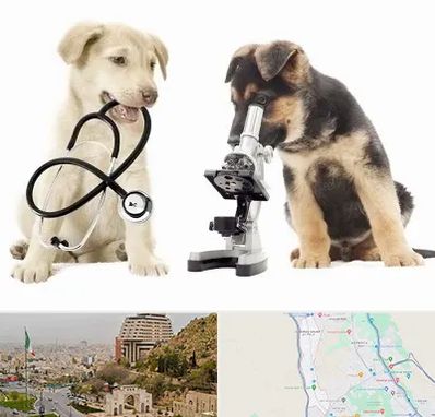 آزمایشگاه دامپزشکی در فرهنگ شهر شیراز