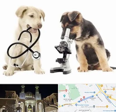 آزمایشگاه دامپزشکی در زرگری شیراز