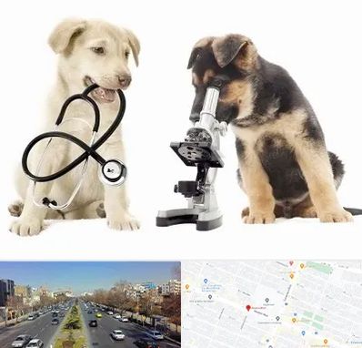آزمایشگاه دامپزشکی در بلوار معلم مشهد