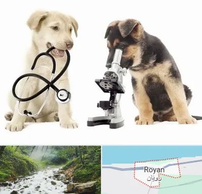 آزمایشگاه دامپزشکی در رویان