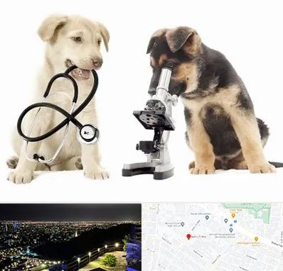 آزمایشگاه دامپزشکی در هفت تیر مشهد