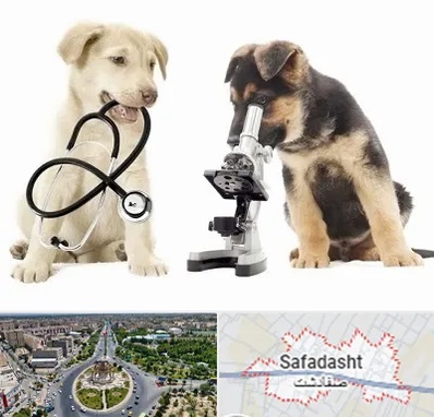 آزمایشگاه دامپزشکی در صفادشت