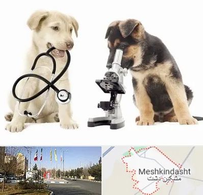 آزمایشگاه دامپزشکی در مشکین دشت