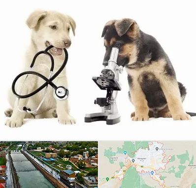 آزمایشگاه دامپزشکی در مراغه