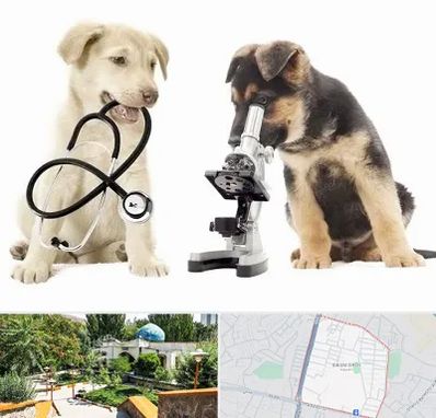 آزمایشگاه دامپزشکی در باغمیشه تبریز