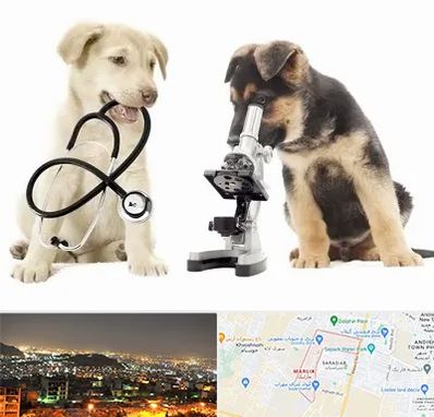 آزمایشگاه دامپزشکی در مارلیک کرج