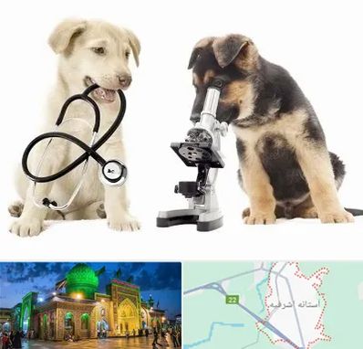 آزمایشگاه دامپزشکی در آستانه اشرفیه